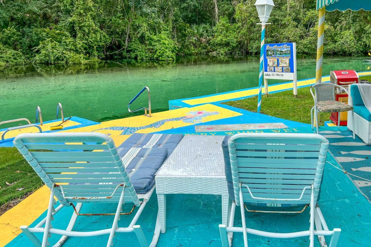 Apartamento Pams Mermaid House With Riverfront Yard And Lanai! Weeki Wachee Exterior foto