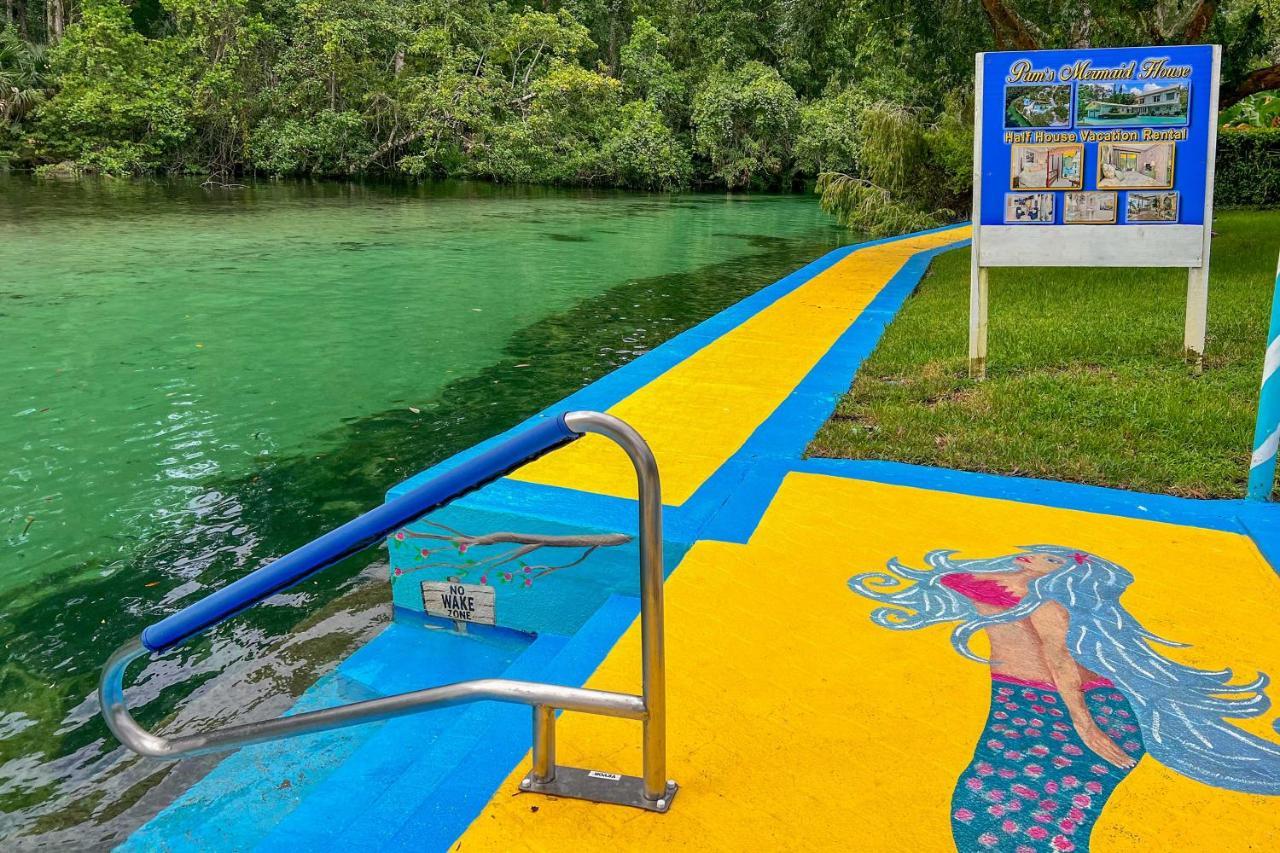 Apartamento Pams Mermaid House With Riverfront Yard And Lanai! Weeki Wachee Exterior foto